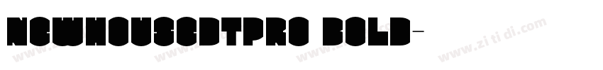 NewhouseDTPro Bold字体转换